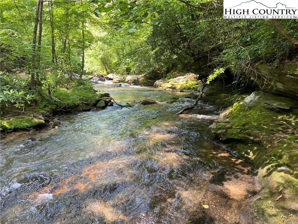 Image number 11 for the current listing