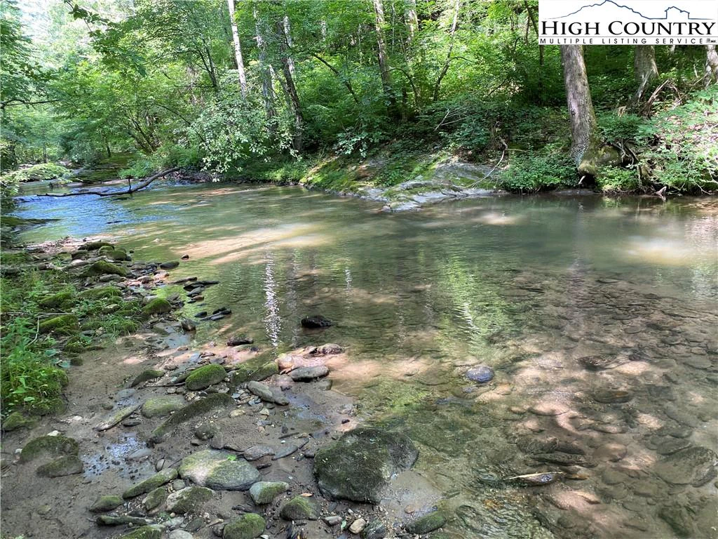 Image number 12 for the current listing