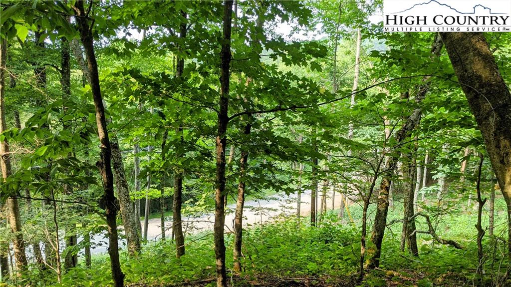 Image number 1 for the current listing