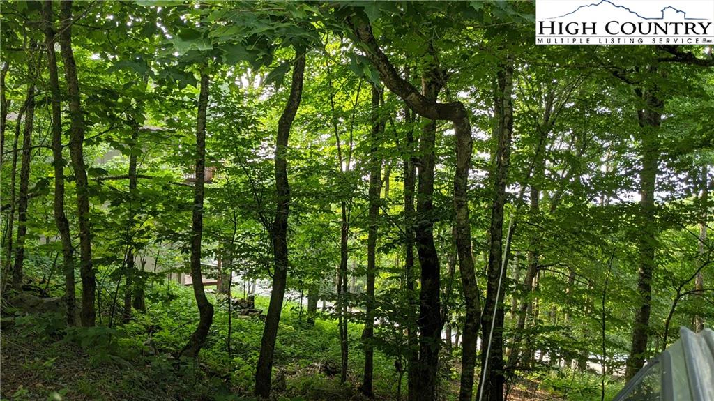 Image number 13 for the current listing