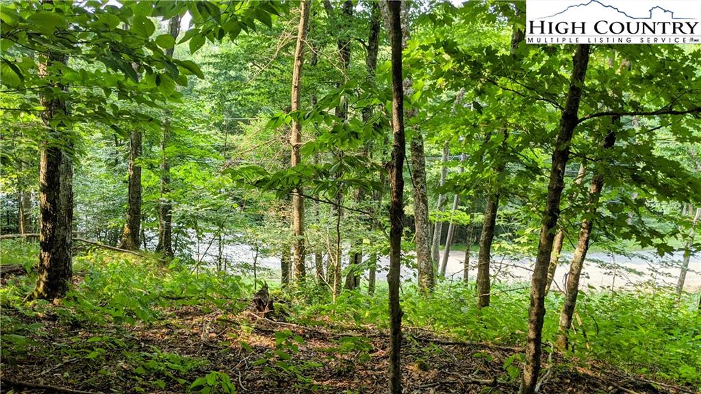 Image number 14 for the current listing
