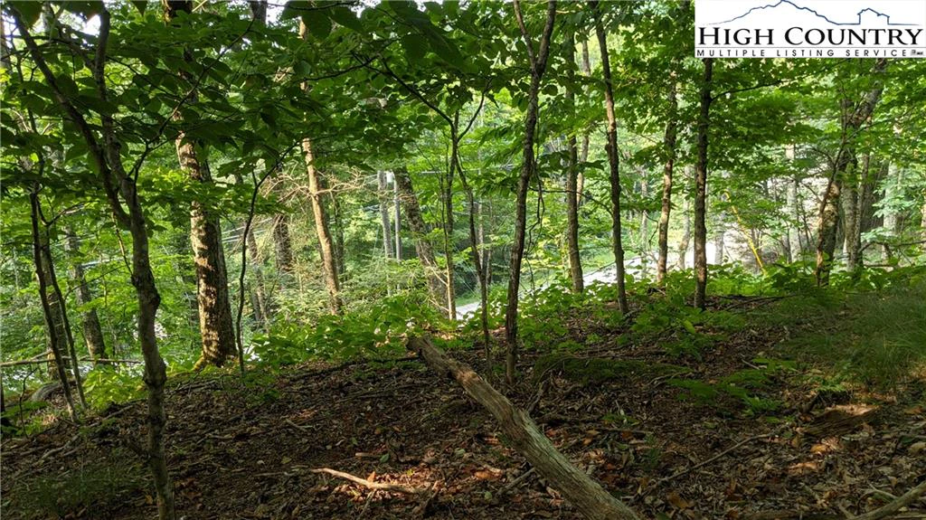 Image number 15 for the current listing