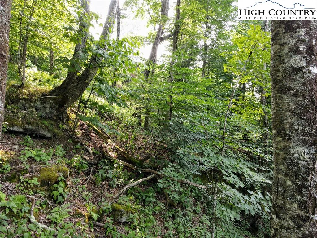 Image number 16 for the current listing