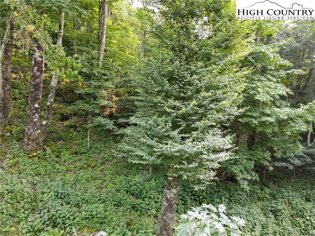 Image number 6 for the current listing