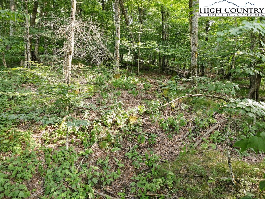 Image number 7 for the current listing
