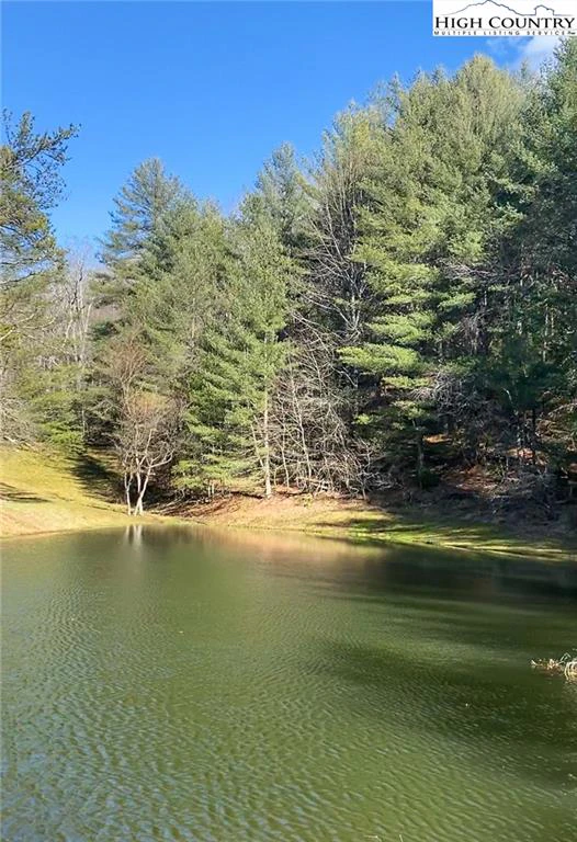 Image number 20 for the current listing