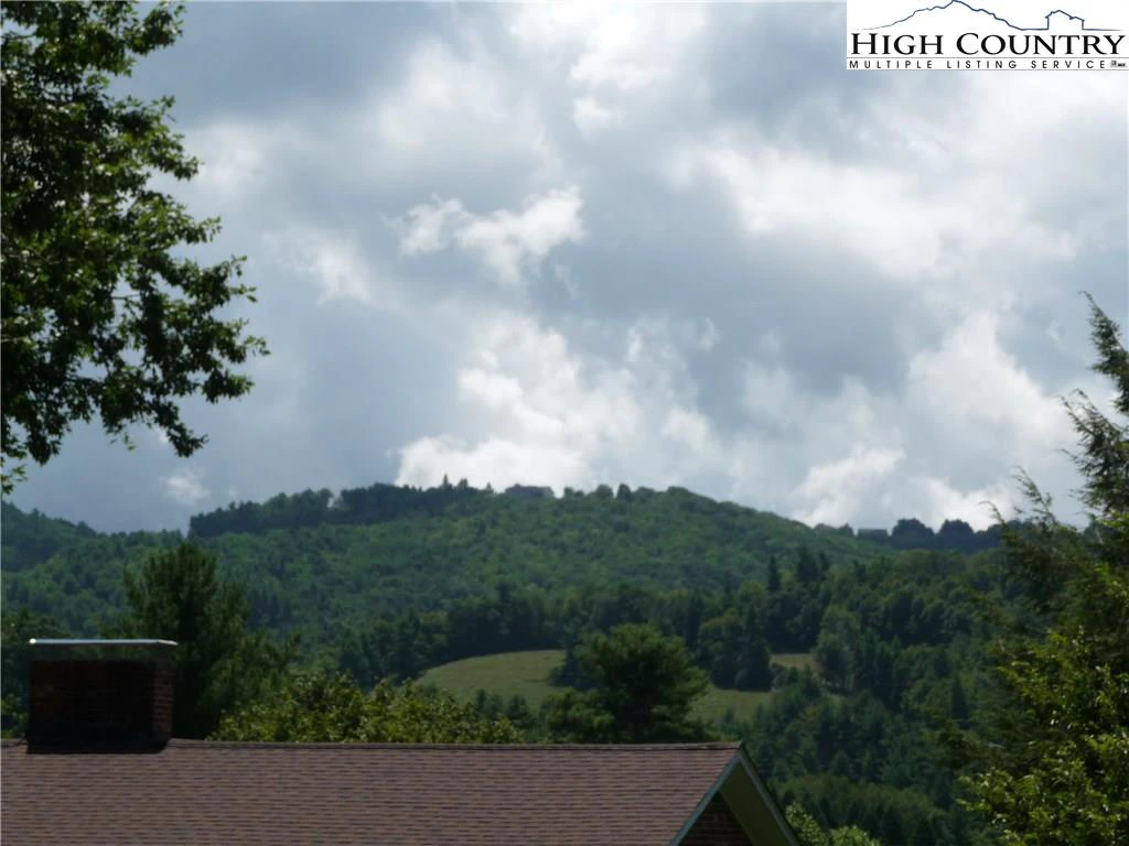 Image number 8 for the current listing