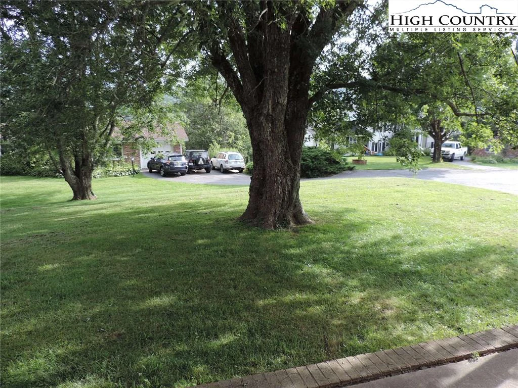 Image number 4 for the current listing