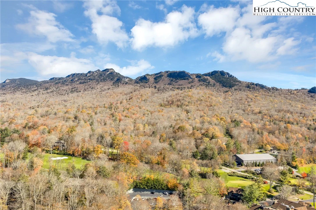 Image number 17 for the current listing