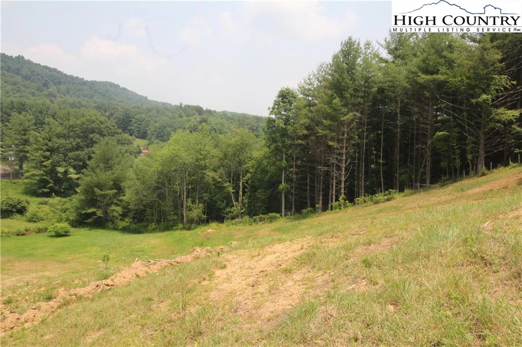 Image number 12 for the current listing