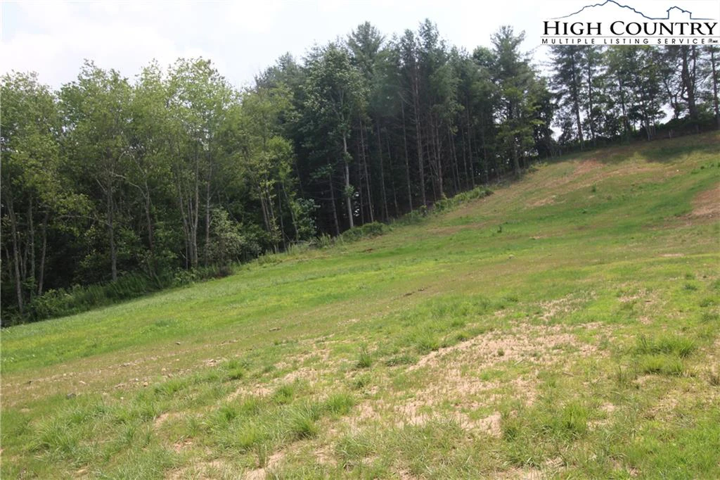 Image number 5 for the current listing