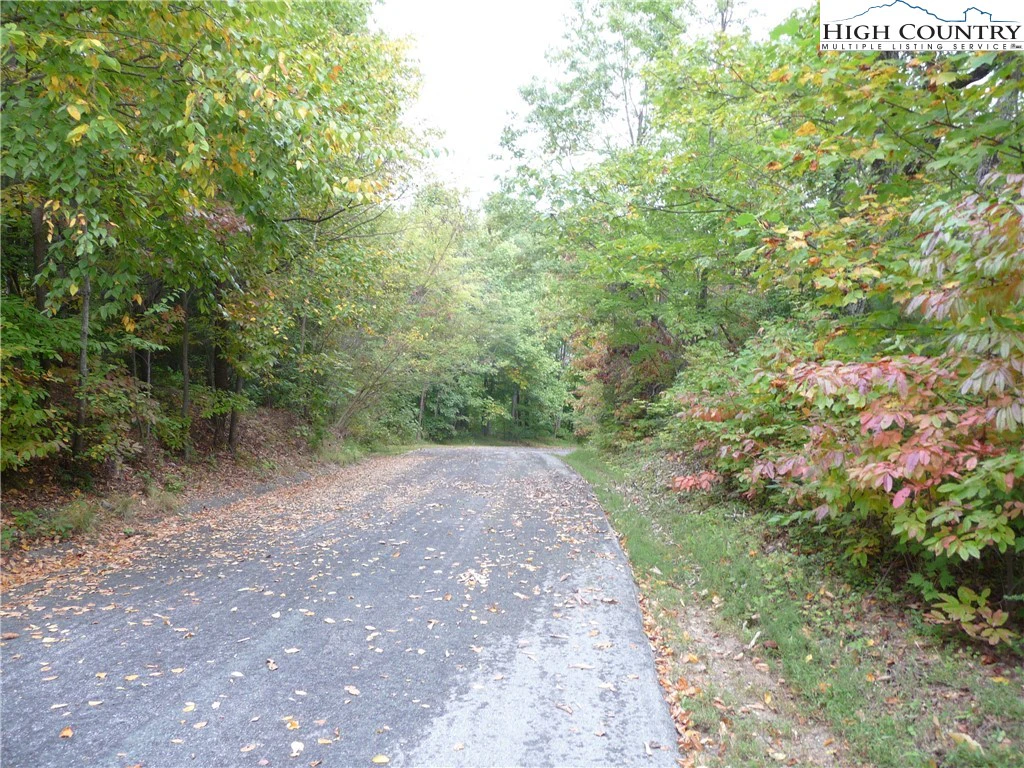 Image number 3 for the current listing