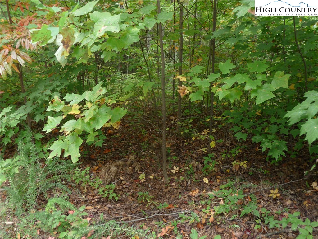 Image number 1 for the current listing