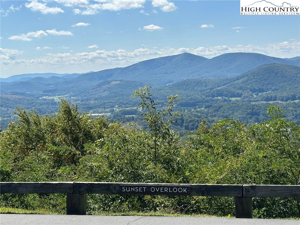 Image number 1 for the current listing