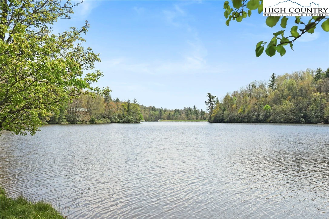 Image number 15 for the current listing