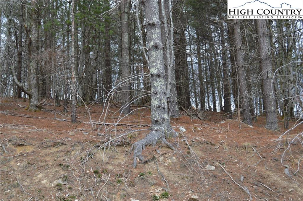 Image number 1 for the current listing
