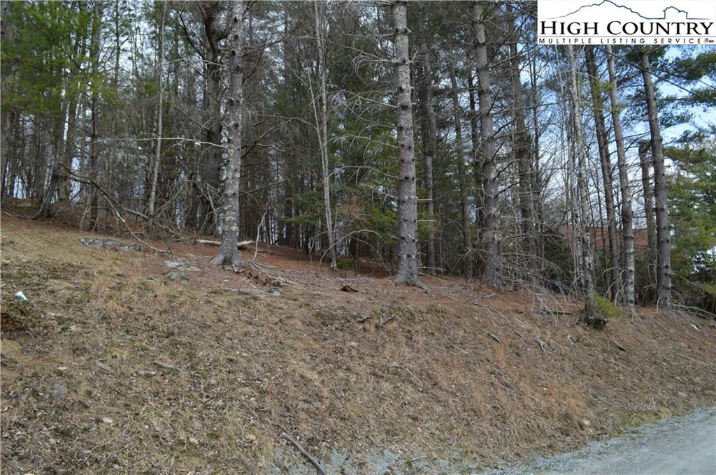 Image number 5 for the current listing