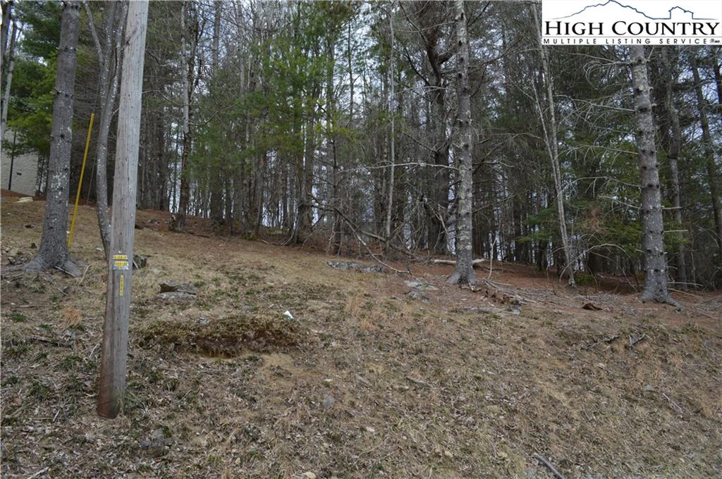 Image number 6 for the current listing