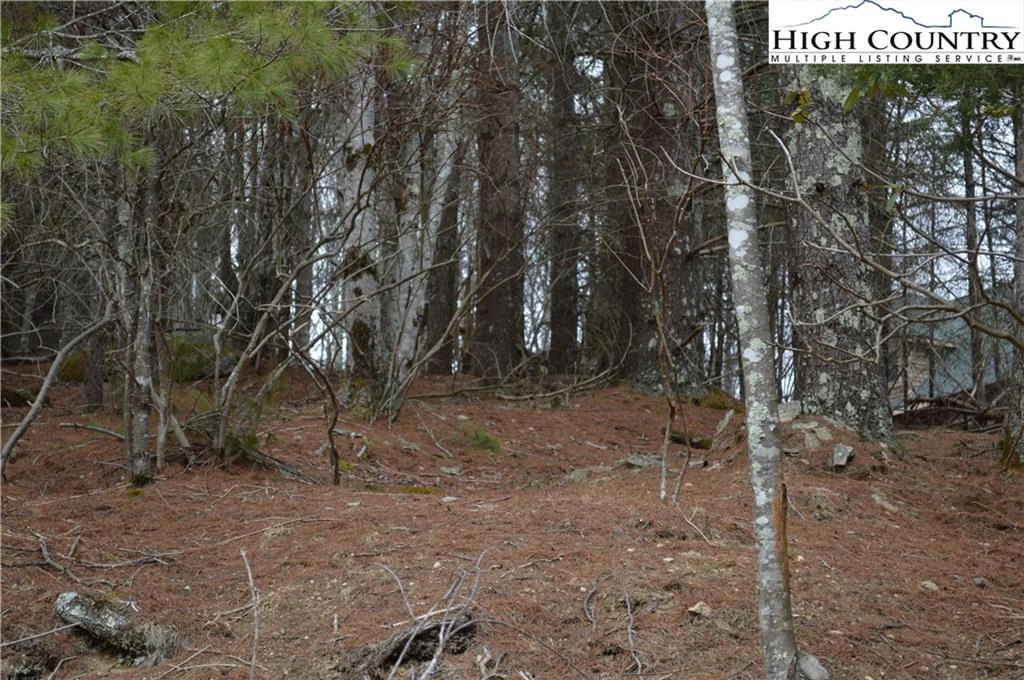 Image number 8 for the current listing
