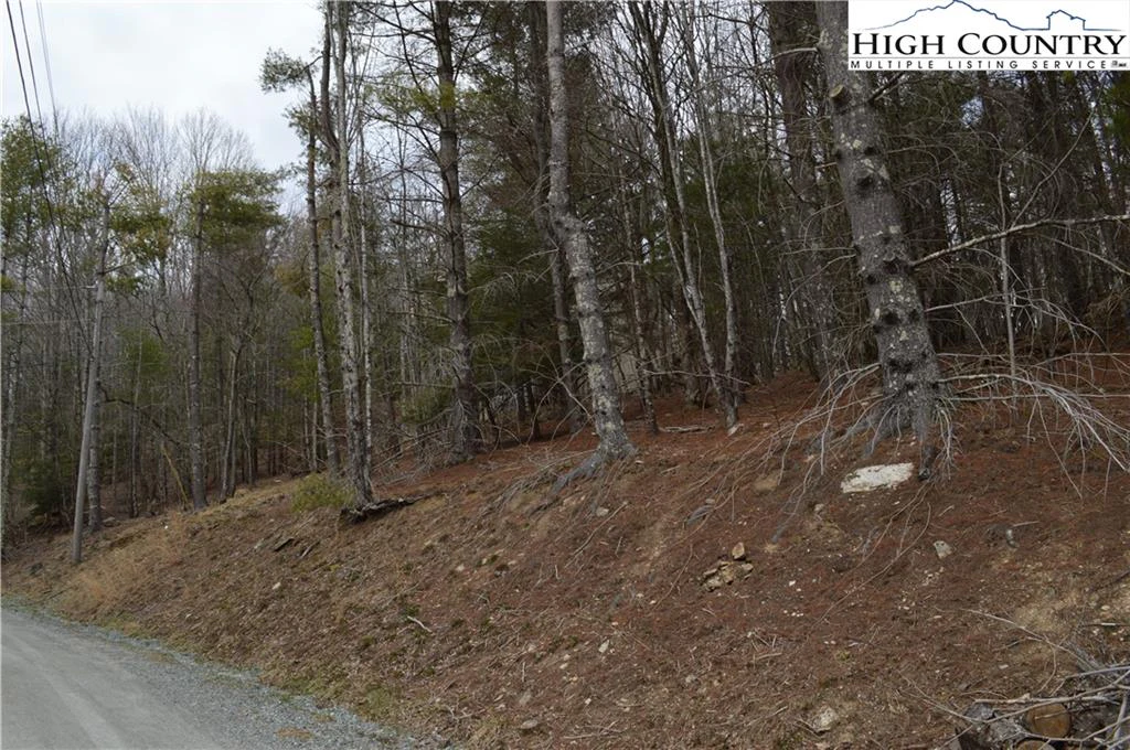 Image number 9 for the current listing