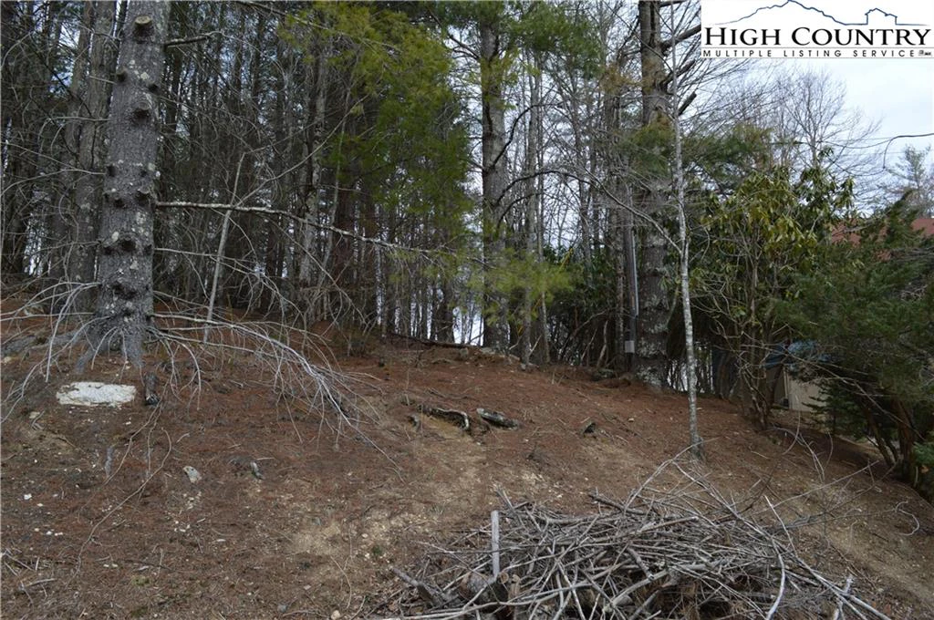 Image number 10 for the current listing
