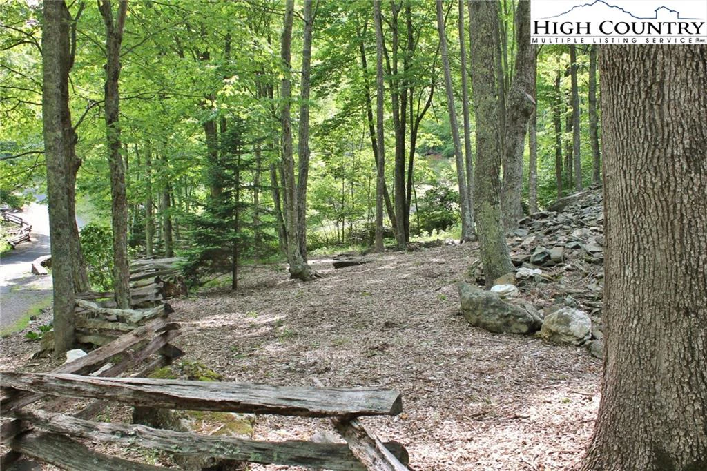 Image number 2 for the current listing
