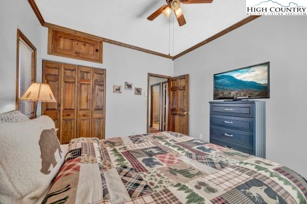 Image number 12 for the current listing