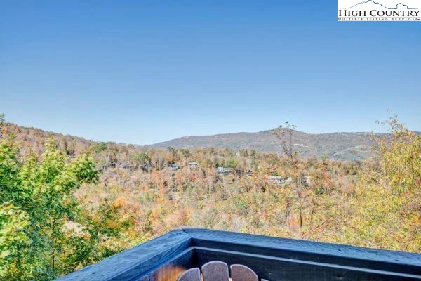 Image number 2 for the current listing