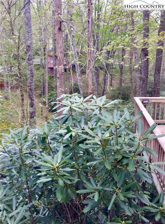 Image number 5 for the current listing