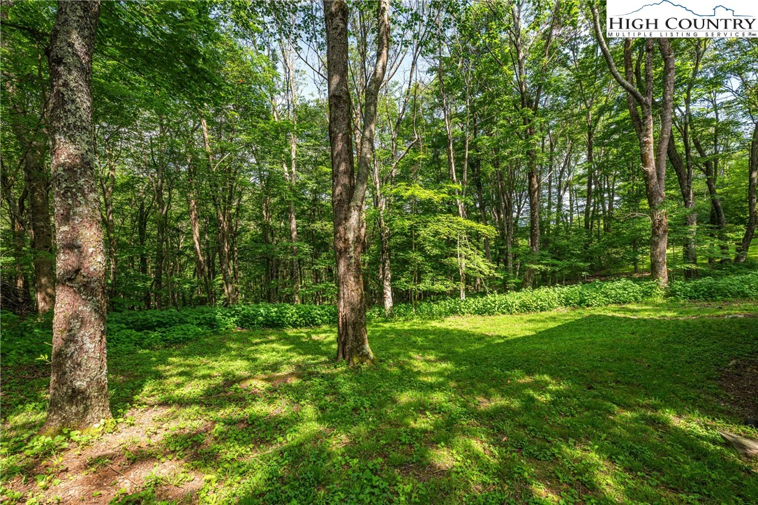 Image number 17 for the current listing