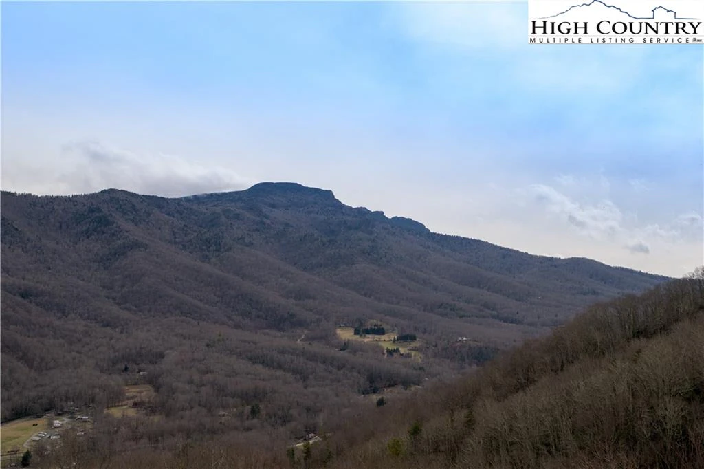 Image number 3 for the current listing