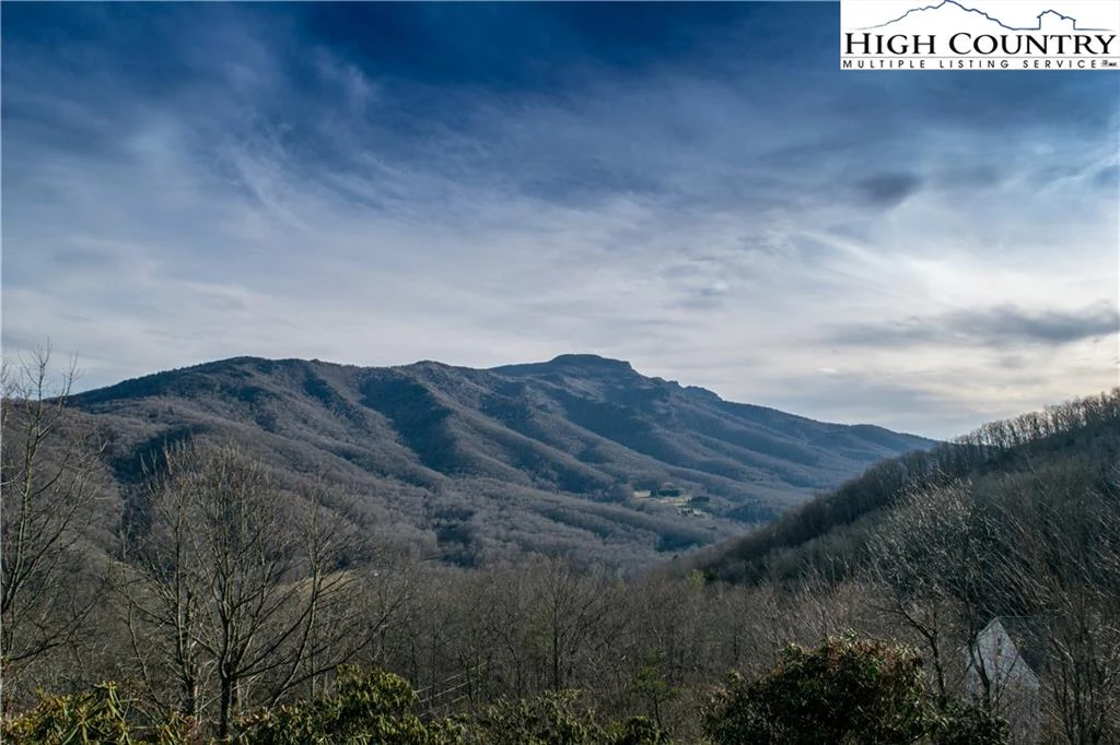 Image number 4 for the current listing