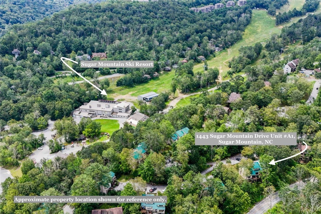 Image number 3 for the current listing