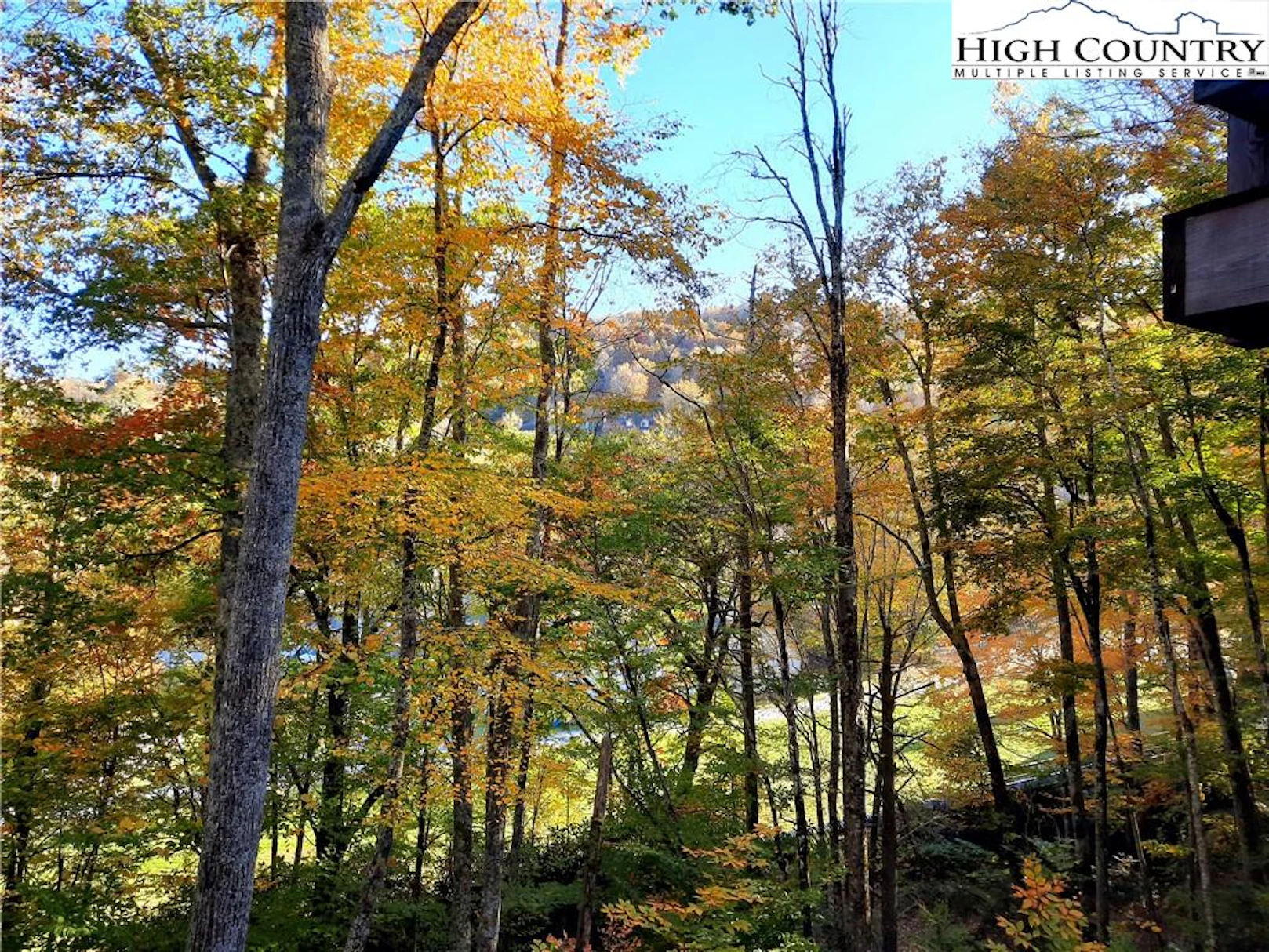 Image number 11 for the current listing
