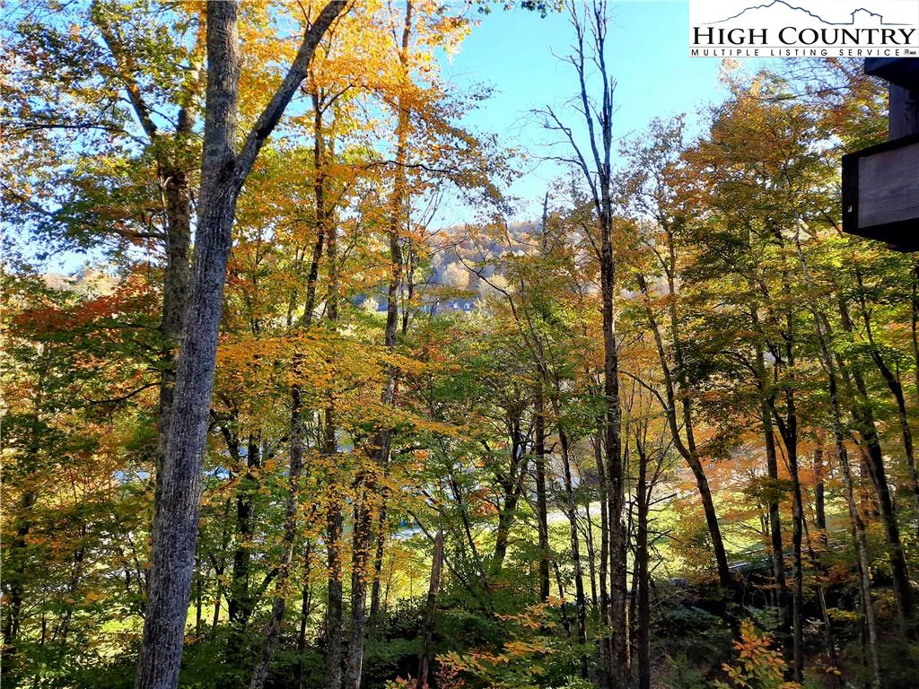 Image number 11 for the current listing