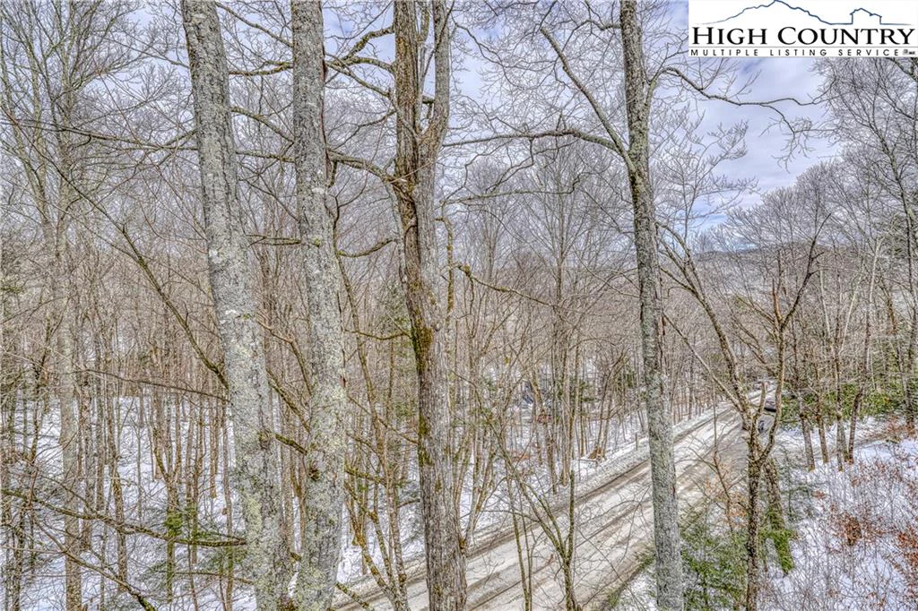 Image number 9 for the current listing
