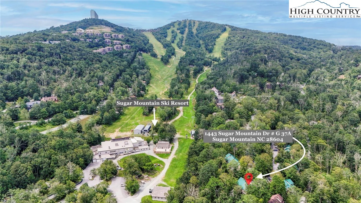 Image number 1 for the current listing