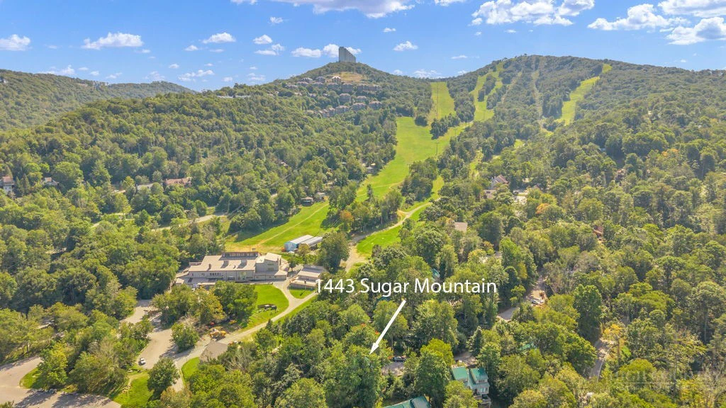 Image number 3 for the current listing