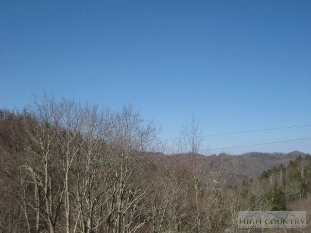 Image number 11 for the current listing