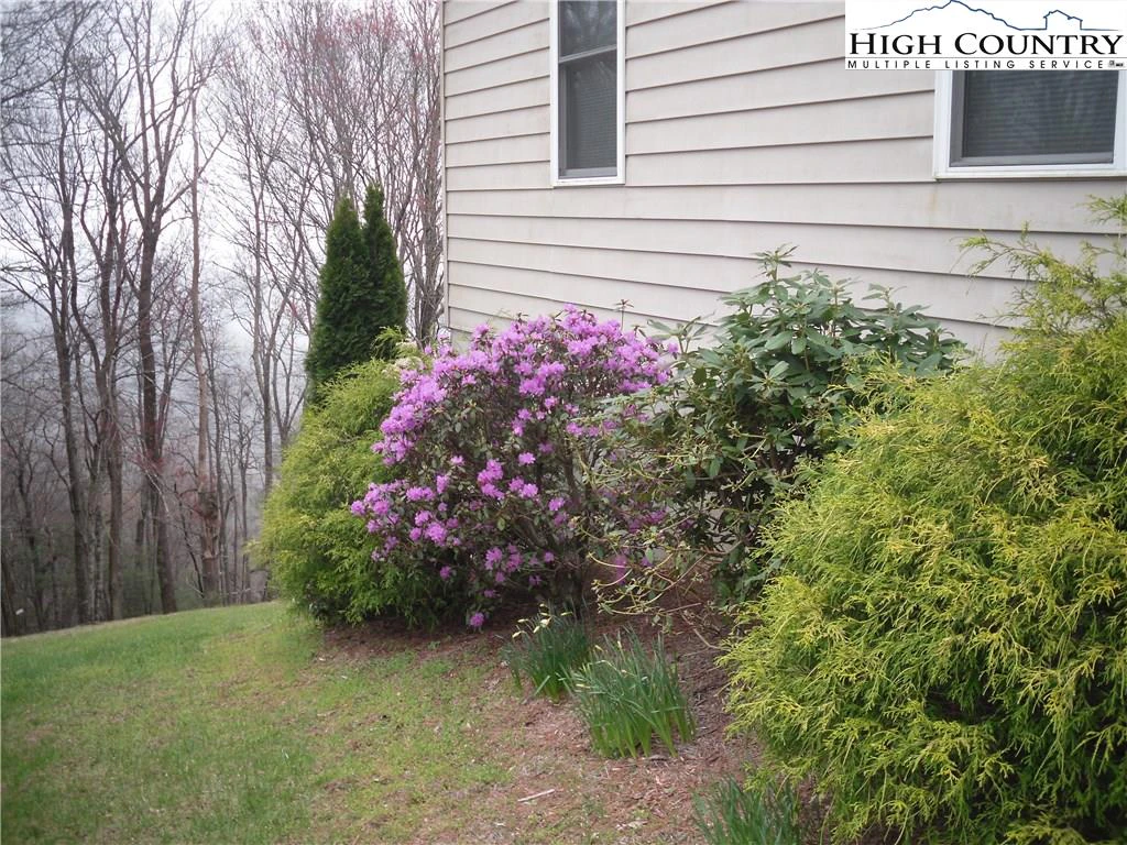 Image number 13 for the current listing