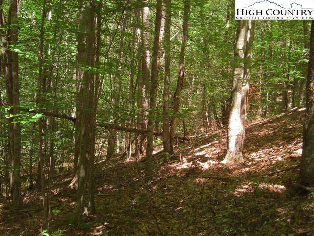 Image number 1 for the current listing