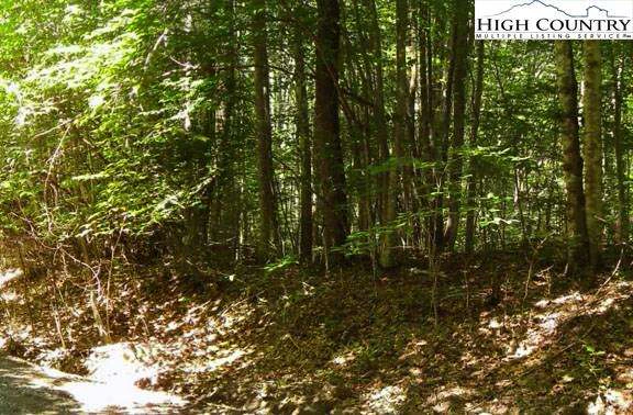 Image number 3 for the current listing