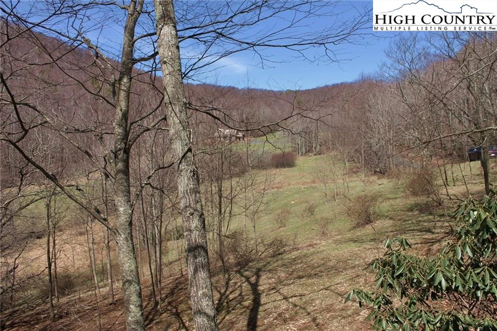 Image number 21 for the current listing