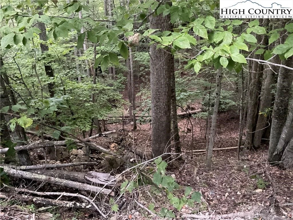 Image number 3 for the current listing