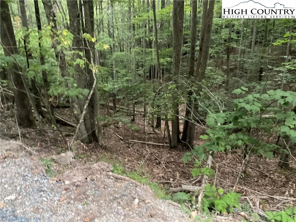Image number 4 for the current listing