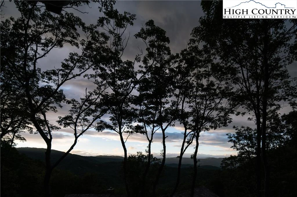 Image number 12 for the current listing