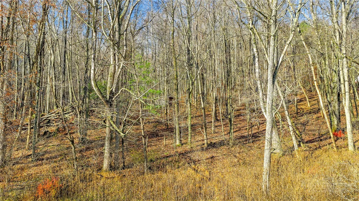 Image number 27 for the current listing