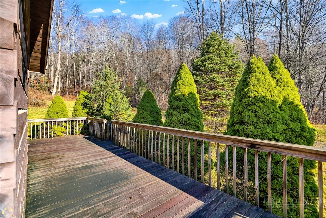 Image number 8 for the current listing