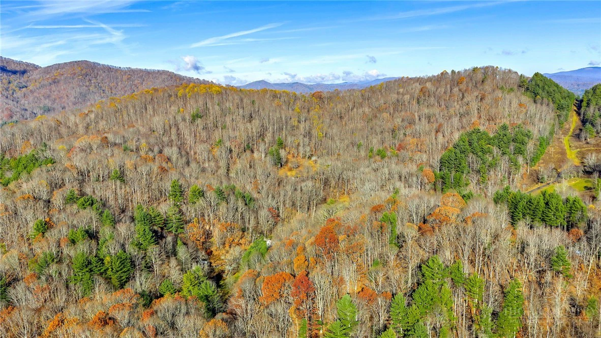 Image number 2 for the current listing