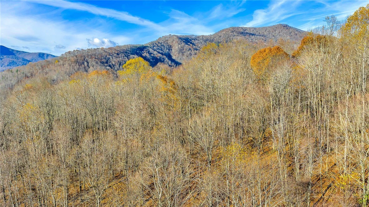 Image number 13 for the current listing